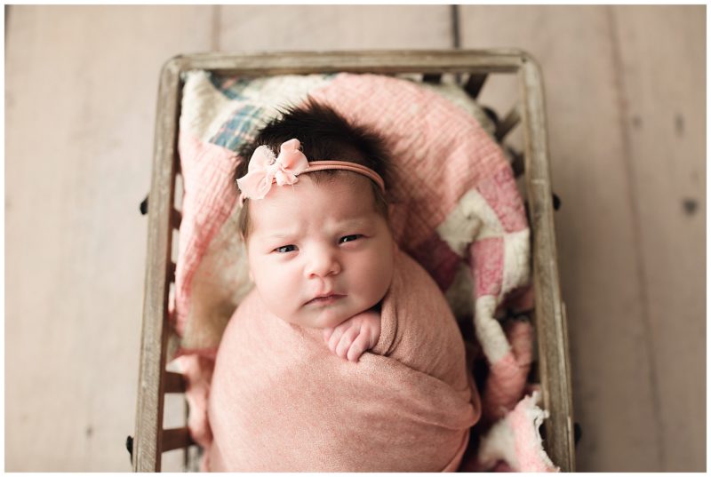 awake baby in basket, Dallas newborn photographer 