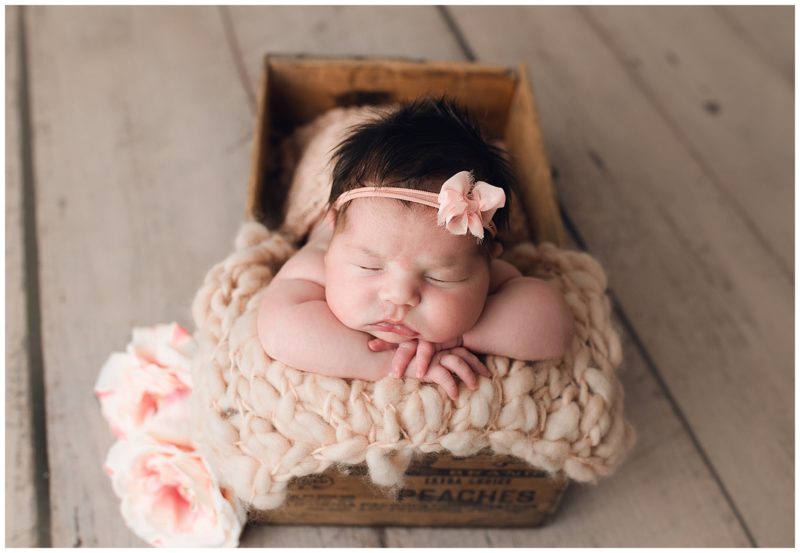 baby girl in basket, frisco newborn photographer 