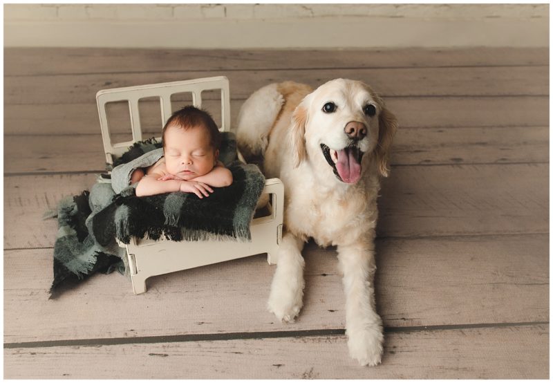 newborn and dog, Mckinney newborn photographer 