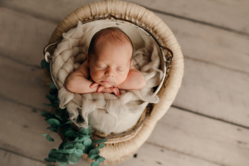 newborn sleeping in bucket with greenery, mckinney newborn photographer