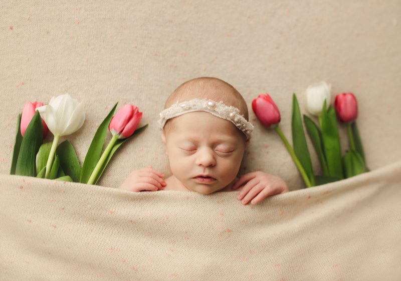 newborn sleeping surround by tulips on cream blanket, dallas newborn photos baby zoe
