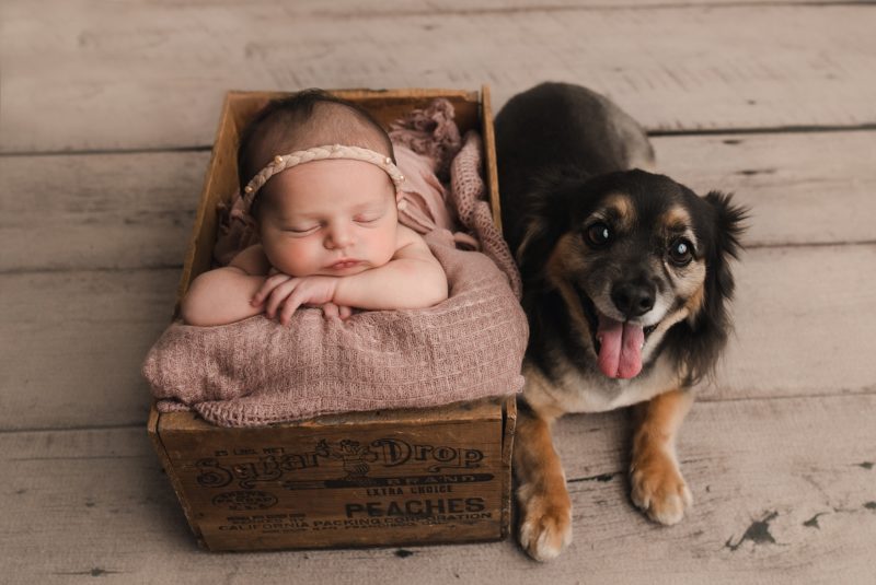 newborn baby in crate with dog laying next to her